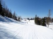 Slope Vrh Krvavca-Gradišče
