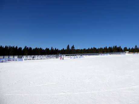 Ski resorts for beginners in the Western Sudetes – Beginners Černá hora – Janské Lázně