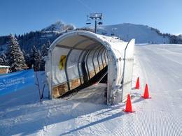 Tapis des Chaux