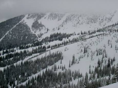 Selkirk Mountains: size of the ski resorts – Size Schweitzer Mountain Resort
