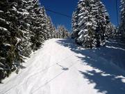 Waizer downhill run