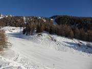 Easy slope Campo Scuola Scoiattolo
