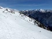 View of the slopes on the Loser Alm