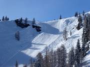 Challenging Hahn'l slope on the Reiteralm, also known as "Black Rose"