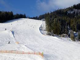 Flachauwinkl/Kleinarl (Shuttleberg)