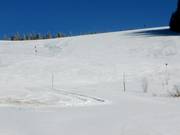 Spacious slope below the summit lift