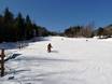 Ski resorts for beginners in the Mid-Atlantic States – Beginners Whiteface – Lake Placid
