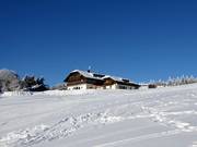 Almberghütte directly on the slopes