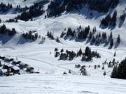 View of the cross-country trails on the Stoos