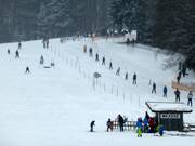 Muli 1 rope tow