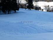 Snowpark Rinn