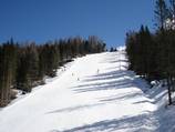 New runs