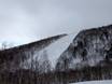 Ski resorts for advanced skiers and freeriding Japan – Advanced skiers, freeriders Sahoro