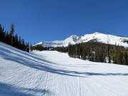 Easy slope Mr. K