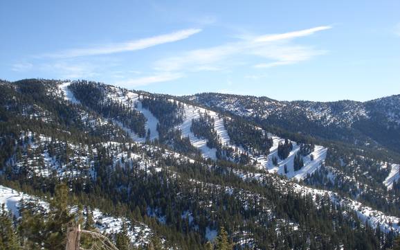 Skiing near Incline Village