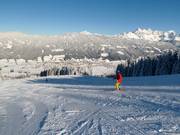 FIS standard
