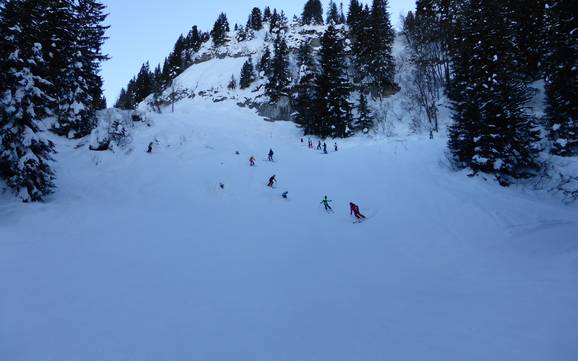 Ski resorts for advanced skiers and freeriding Toggenburg – Advanced skiers, freeriders Wildhaus – Gamserrugg (Toggenburg)