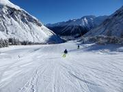 Alpine descent