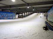 The two beginner slopes