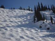 Perfect mogul slope