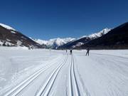 Wonderful cross-country ski trails in Goms