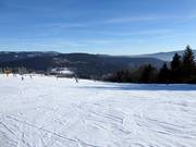 Easy slopes at the Thurnhof lifts