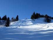 Black slope Arvenegg