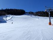 Black valley run