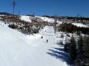 Easy slopes dominate the lower area of the ski resort.