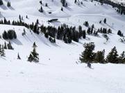 Steep terrain starting from the High Traverse