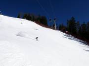 Black slope Piculin