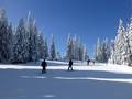 Slopes Feldberg – Seebuck/Grafenmatt/Fahl