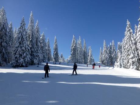 Slope offering Black Forest (Schwarzwald) – Slope offering Feldberg – Seebuck/Grafenmatt/Fahl