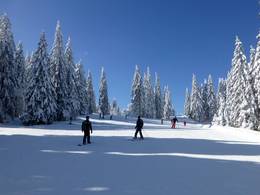 Feldberg – Seebuck/Grafenmatt/Fahl