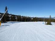 Easy slope No. 43