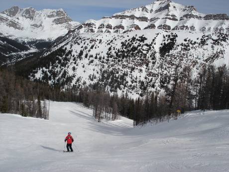 Slope offering Alberta – Slope offering Lake Louise