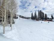 Beginner area at the Shoshone Lift