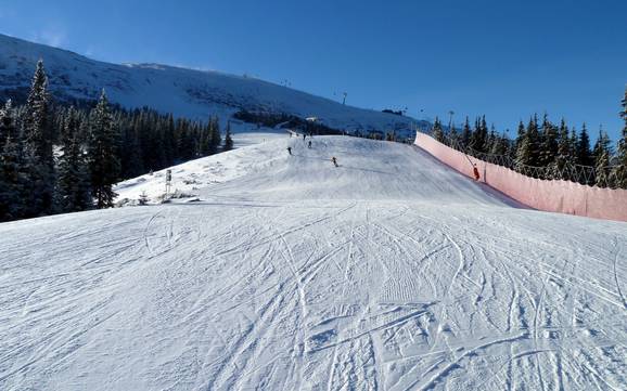 Žilina (Žilinský kraj): size of the ski resorts – Size Jasná Nízke Tatry – Chopok