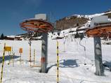 Alpenrose 1