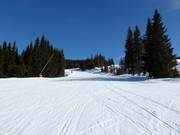 Easy slope Seter