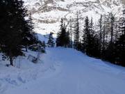 Ski trail to the practice slope at the Gampenlift