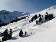 Off-piste area at Seekar