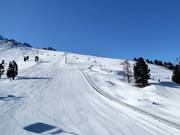 Zirmabfahrt East