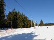 Sport 1 - J-bar