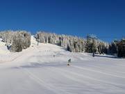 Mooslehen slope