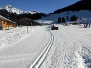 Cross-country trails in Savognin at the children's ski paradise La Nars