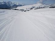 The grassy slopes make it easier to prepare the pistes well.