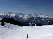 Schwendi slope