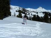 Wildlife protection areas must not be entered.