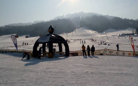 Family ski resorts Lofer and Leogang Mountains – Families and children Buchensteinwand (Pillersee) – St. Ulrich am Pillersee/St. Jakob in Haus/Hochfilzen